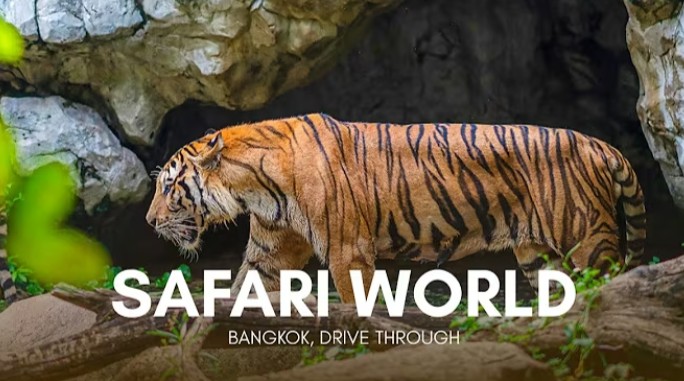 actv thmnl-1776314460.jpg